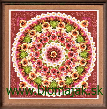 Mandala ruže 142 