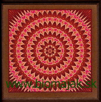 Mandala vnútornej sily.038