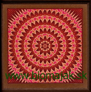 Mandala vnútornej sily.038