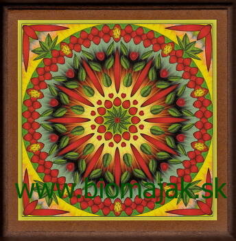 Mandala životnej sily.066